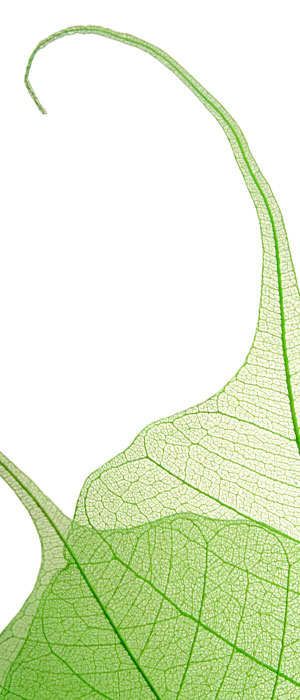 Ausleitungsverfahren